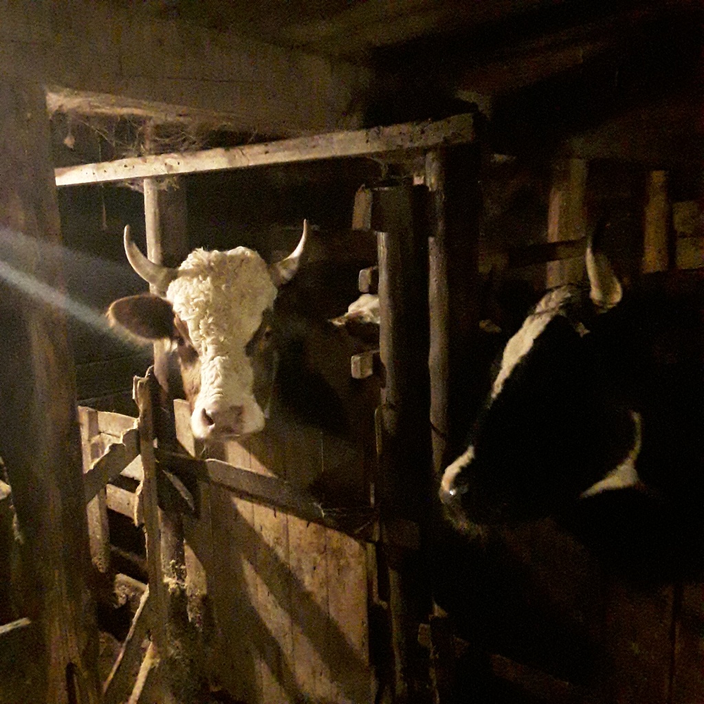 20211125_110854.jpg 20211125_110854.jpg