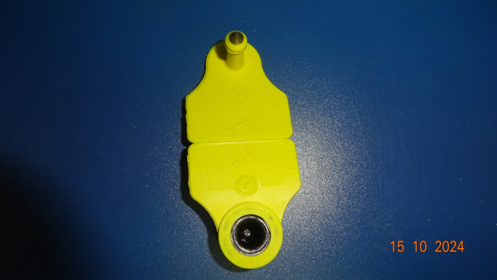 DSC06289.JPG