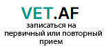записаться на первичный или повторный прием (с больным животным)