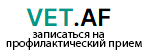 записаться на профилактический прием (чипирование, вакцинация, регистрация, оформление документов на выезд)