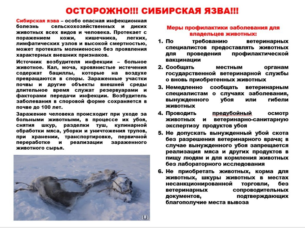 СБ.JPG