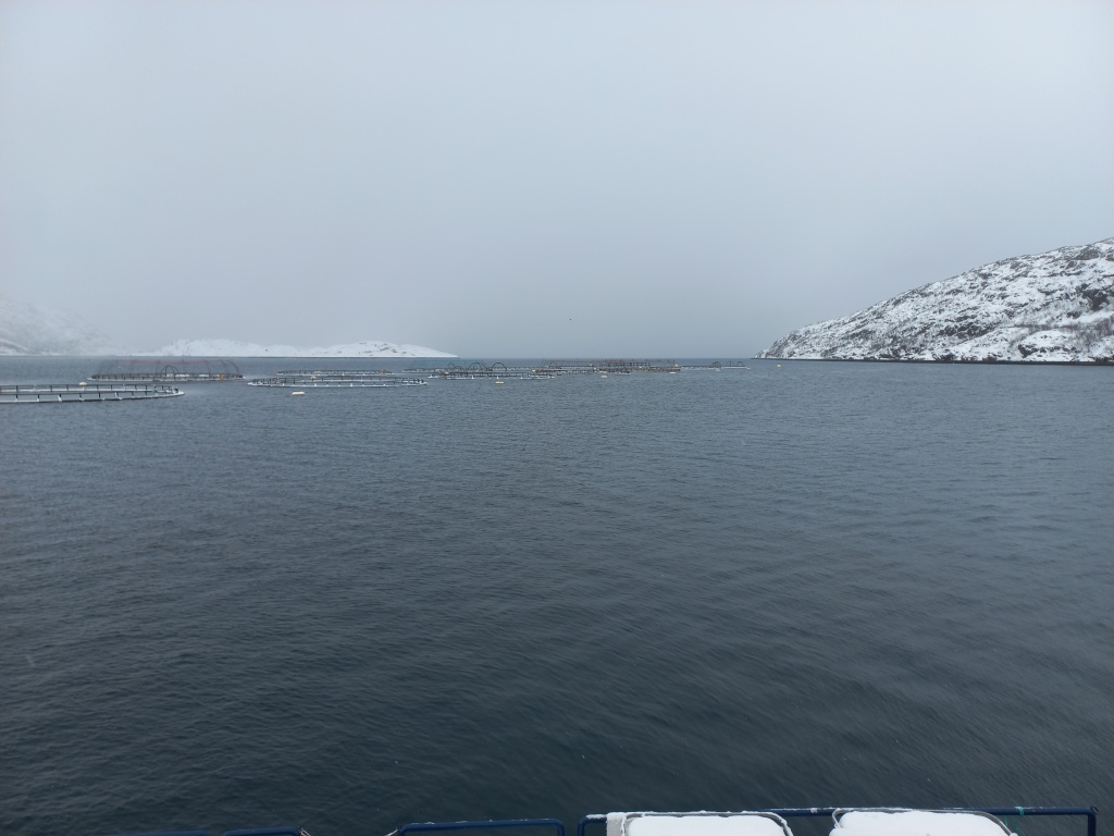 20230309_145605.jpg 20230309_145605.jpg